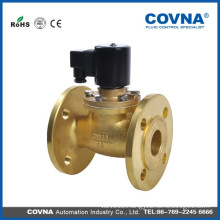 Steam brass flange type solenoid check valve